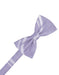Periwinkle Striped Satin Bow Tie
