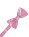 Rose Petal Striped Satin Bow Tie