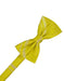 Willow Striped Satin Bow Tie