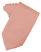 Coral Luxury Satin Necktie