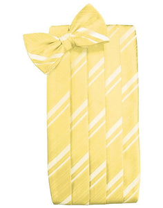 Sunbeam Striped Satin Cummerbund