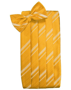 Tangerine Striped Satin Cummerbund