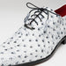 Marco Di Milano Criss Ostrich Quill Dress Oxfords Newspaper