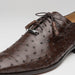 Marco Di Milano Criss Ostrich Quill Dress Oxfords Brown