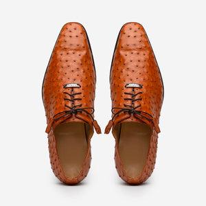 Marco Di Milano Criss Ostrich Quill Dress Oxfords Brandy