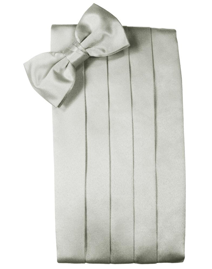 Platinum Noble Silk Cummerbund & Bow Tie Set