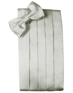 Platinum Noble Silk Cummerbund & Bow Tie Set