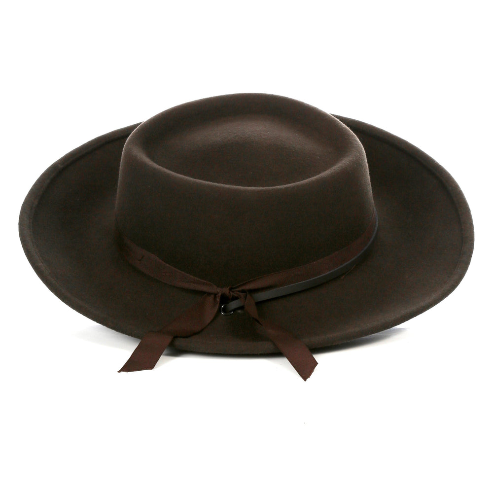Dark Brown Fedora Earp Wide Brim Hat