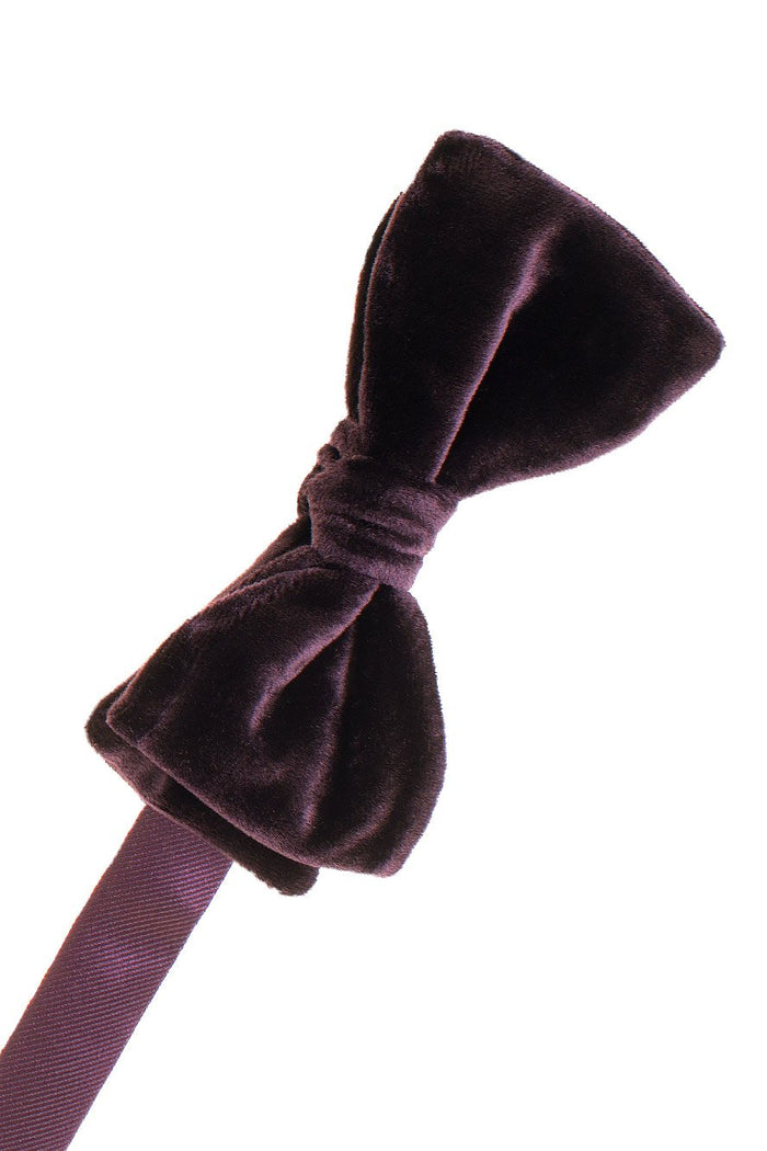 "Luxor"  Aubergine Velvet Bow Tie