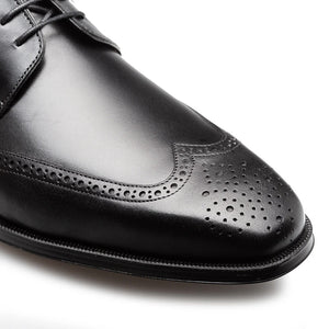 Mezlan Tasso Wing Tip Derby