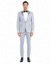 Silver Grey Blazer