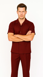 Mens Walking Suit in Color Burgundy Leisure Suit Casual Matching Shirt and Pants $99