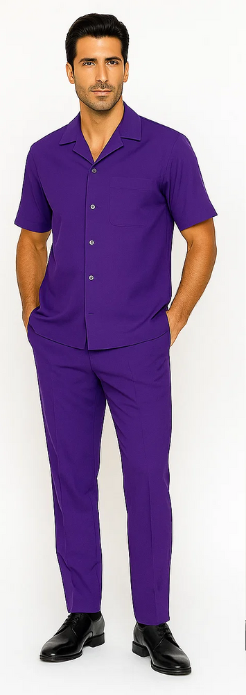 Mens Walking Suit in Color Purple Leisure Suit Casual Matching Shirt and Pants $99