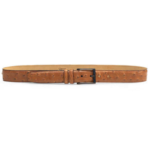 Mezlan Ostrich Skin Belt Brandy (AO8146)