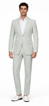 Light Green Suit