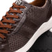 Marco Di Milano Verona Python & Calfskin Sneakers Brown