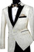 Vinci Men's Regular Fit Sport Coat with Sophisticated Paisley Embroidery, Ivory Tuxedo - USA Men's Outlet